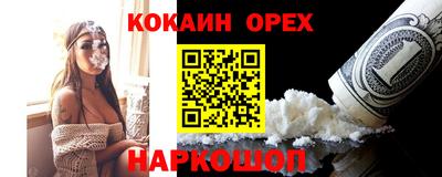 гидропоника Пенза