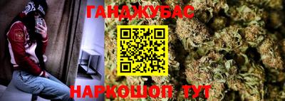 гидропоника Пенза