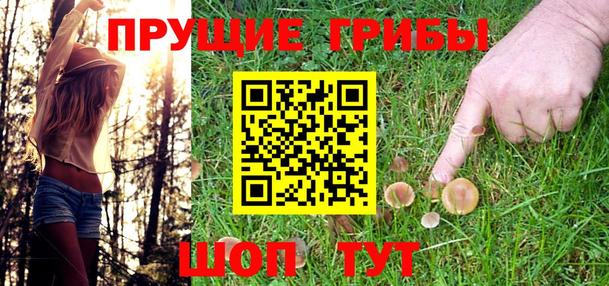Псилоцибиновые грибы мухоморы  Вход с VPN  Псилоцибиновые грибы MAGIC MUSHROOMS  Саяногорск 